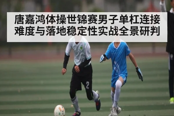 唐嘉鸿体操世锦赛男子单杠连接难度与落地稳定性实战全景研判